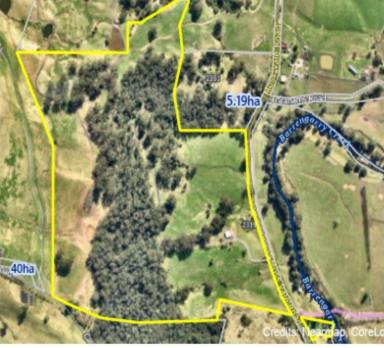 Mixed Farming For Sale - NSW - Kangaroo Valley - 2577 - 100 ACRES Kangaroo Valley Great Escarpment Views Creek Frontage  (Image 2)
