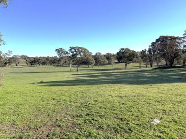 House For Sale - NSW - Wombat - 2587 - Upsize Your Lifestyle in Wombat!  (Image 2)