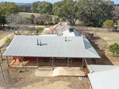 House For Sale - NSW - Wombat - 2587 - Upsize Your Lifestyle in Wombat!  (Image 2)