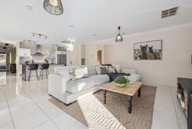 House Auction - ACT - Forde - 2914 - Owners Have Purchased Elsewhere - Genuine Sale in Sought-After Forde  (Image 2)