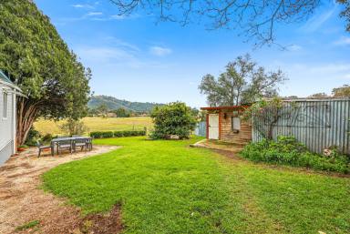 Lifestyle Auction - NSW - Woolomin - 2340 - PEACE, PRIVACY & POTENTIAL  (Image 2)