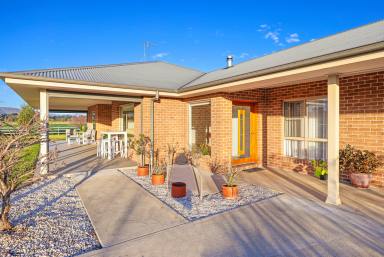 Lifestyle Auction - NSW - Tamworth - 2340 - MODERN COUNTRY LIVING ON THE EDGE OF TAMWORTH  (Image 2)