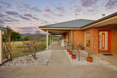 Lifestyle Auction - NSW - Tamworth - 2340 - MODERN COUNTRY LIVING ON THE EDGE OF TAMWORTH  (Image 2)