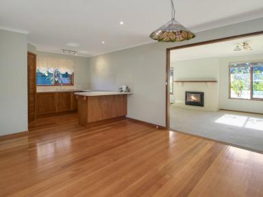 House For Sale - VIC - Bairnsdale - 3875 - GREAT LOCATION  (Image 2)