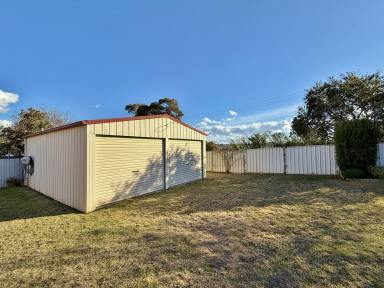 House For Sale - NSW - Young - 2594 - Flat, Easy-Care Home Ideal for Retirees  (Image 2)