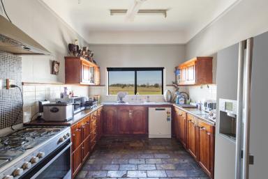 House For Sale - NSW - Grafton - 2460 - Flexible Family Living with Poolside Entertaining  (Image 2)