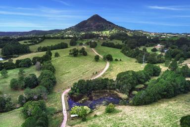 House Auction - QLD - Cooroy Mountain - 4563 - Winoa - Prestige Acreage with Dual Living and Views  (Image 2)