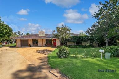 House For Lease - NSW - Dubbo - 2830 - Made for Summer Entertaining – Quiet & Convenient Living!  (Image 2)