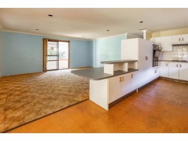 House For Sale - NSW - Green Point - 2428 - Room to Grow, Update or Re-imagine  (Image 2)