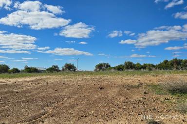 Residential Block For Sale - WA - Kalbarri - 6536 - Capital Hill Estate Vacant Land  (Image 2)