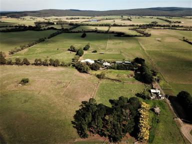 Mixed Farming For Sale - VIC - Jack River - 3971 - FERTILE JACK RIVER FARM LAND WITH RIVER LEASE  (Image 2)