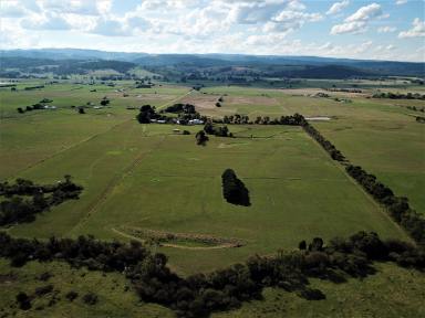 Mixed Farming For Sale - VIC - Jack River - 3971 - FERTILE JACK RIVER FARM LAND WITH RIVER LEASE  (Image 2)