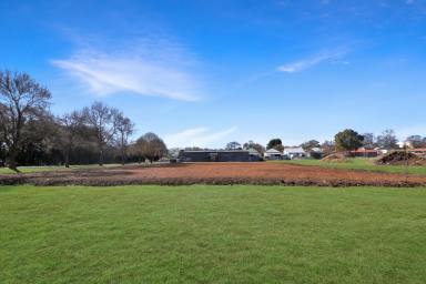 Residential Block For Sale - NSW - Glen Innes - 2370 - Development Opportunity  (Image 2)
