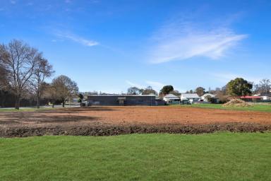 Residential Block For Sale - NSW - Glen Innes - 2370 - Development Opportunity  (Image 2)