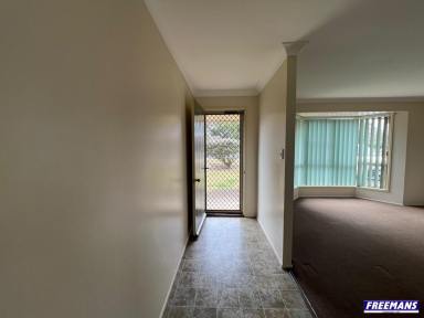 Unit For Lease - QLD - Kingaroy - 4610 - Spacious 3-Bedroom Brick Unit with Courtyard  (Image 2)
