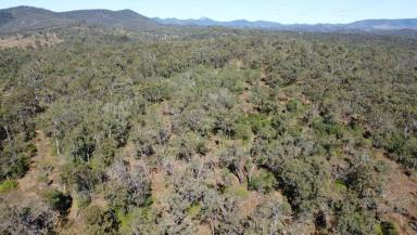 Residential Block For Sale - QLD - Moolboolaman - 4671 - 123 Acres of Peace, Privacy and Potential - Your Rural Lifestyle Awaits  (Image 2)