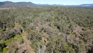 Residential Block For Sale - QLD - Moolboolaman - 4671 - 123 Acres of Peace, Privacy and Potential - Your Rural Lifestyle Awaits  (Image 2)