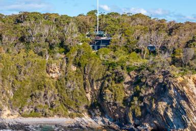 House Auction - NSW - Guerilla Bay - 2536 - Rare Coastal Offering – 78 Burri Point Road, Guerilla Bay  (Image 2)