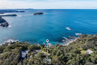 House For Sale - NSW - Guerilla Bay - 2536 - Rare Coastal Offering – 78 Burri Point Road, Guerilla Bay  (Image 2)