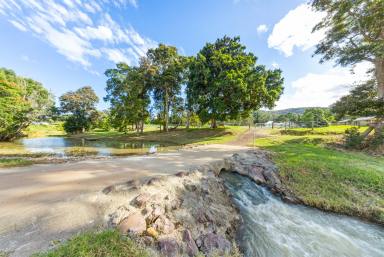 Acreage/Semi-rural For Sale - QLD - Federal - 4568 - Rosedale Homestead - Scenic Noosa Hinterland Lifestyle Property  (Image 2)