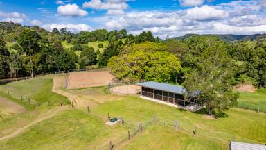 Acreage/Semi-rural For Sale - QLD - Federal - 4568 - Rosedale Homestead - Scenic Noosa Hinterland Lifestyle Property  (Image 2)
