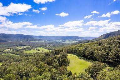 Residential Block For Sale - NSW - Kangaroo Valley - 2577 - SPECTACULAR 100 ACRES Low Maintenance  (Image 2)