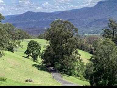 Residential Block For Sale - NSW - Kangaroo Valley - 2577 - SPECTACULAR 100 ACRES Low Maintenance  (Image 2)