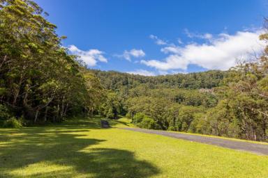 Residential Block For Sale - NSW - Kangaroo Valley - 2577 - SPECTACULAR 100 ACRES Low Maintenance  (Image 2)