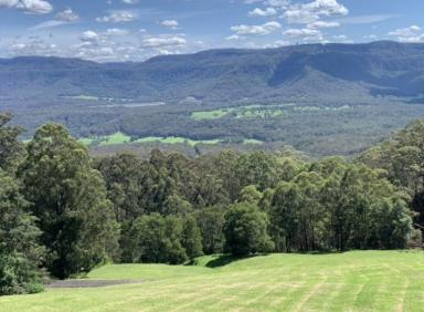 Residential Block For Sale - NSW - Kangaroo Valley - 2577 - SPECTACULAR 100 ACRES Low Maintenance  (Image 2)