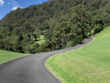 Residential Block For Sale - NSW - Kangaroo Valley - 2577 - SPECTACULAR 100 ACRES Low Maintenance (Image 2)