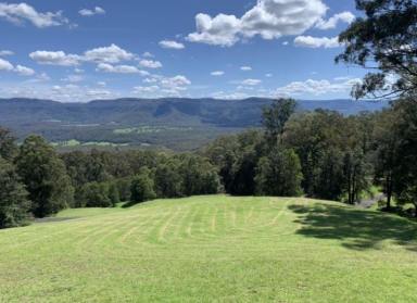 Residential Block For Sale - NSW - Kangaroo Valley - 2577 - SPECTACULAR 100 ACRES Low Maintenance  (Image 2)