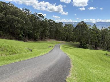 Residential Block For Sale - NSW - Kangaroo Valley - 2577 - SPECTACULAR 100 ACRES Low Maintenance  (Image 2)