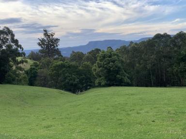 Residential Block For Sale - NSW - Kangaroo Valley - 2577 - SPECTACULAR 100 ACRES Low Maintenance (Image 2)