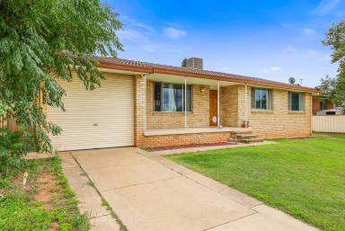 House For Lease - NSW - Tamworth - 2340 - THREE BEDROOM HOME IN SOUTH  (Image 2)