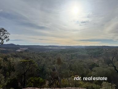Lifestyle For Sale - NSW - Ashford - 2361 - RURAL GETAWAY WITH RIVER FRONTAGE  (Image 2)