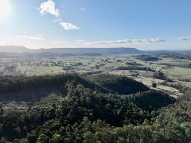 Residential Block For Sale - TAS - Western Creek - 7304 - Secluded Bush Block  (Image 2)