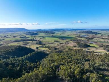 Residential Block For Sale - TAS - Western Creek - 7304 - Secluded Bush Block  (Image 2)