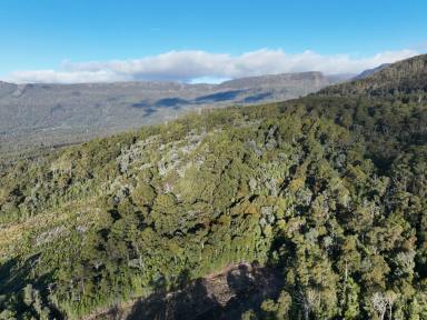 Residential Block For Sale - TAS - Western Creek - 7304 - Secluded Bush Block  (Image 2)