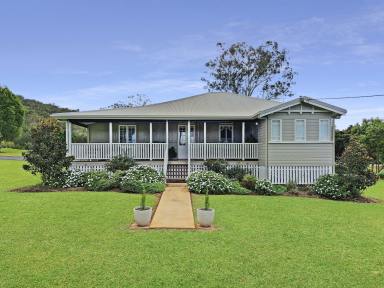 House For Sale - QLD - Atherton - 4883 - Beautiful, Bright Character Home on One Acre  (Image 2)