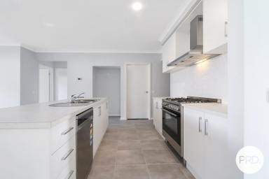 House For Lease - NSW - Lavington - 2641 - BRAND NEW LOW MAINTENANCE 3 BEDROOM HOME!  (Image 2)