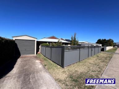 House For Sale - QLD - Kingaroy - 4610 - So much packed into this property  (Image 2)