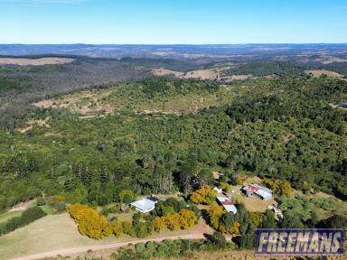Lifestyle For Sale - QLD - East Nanango - 4615 - Off-Grid Rural Retreat on 62 Acres - Views, Whispering Bunya Pines, Space & Endless Potential  (Image 2)