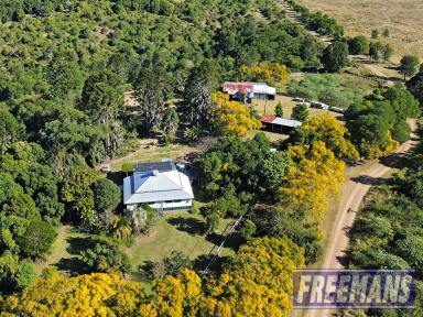 Lifestyle For Sale - QLD - East Nanango - 4615 - Off-Grid Rural Retreat on 62 Acres - Views, Whispering Bunya Pines, Space & Endless Potential  (Image 2)