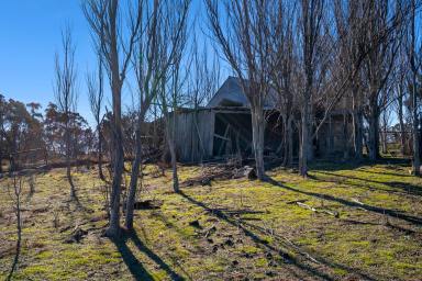 Residential Block For Sale - NSW - Bigga - 2583 - Rare Opportunity  (Image 2)