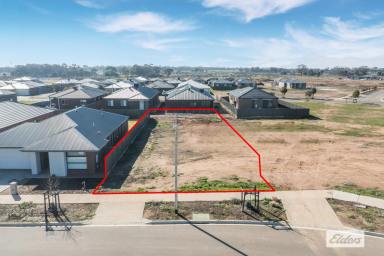 Residential Block For Sale - VIC - Huntly - 3551 - Build New in the Harlowe Estate – House & Land Packages Available  (Image 2)