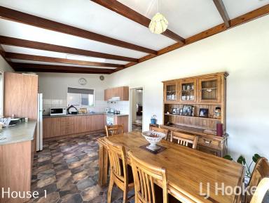Other (Rural) For Sale - NSW - Inverell - 2360 - Unique Dual-Residence Lifestyle Property on Acreage  (Image 2)