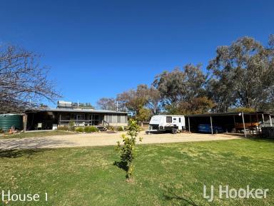 Other (Rural) For Sale - NSW - Inverell - 2360 - Unique Dual-Residence Lifestyle Property on Acreage  (Image 2)