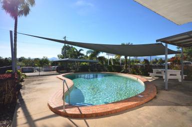 Studio For Sale - QLD - Edmonton - 4869 - Secure the Lifestyle – Gated Living Meets Smart Investing  (Image 2)