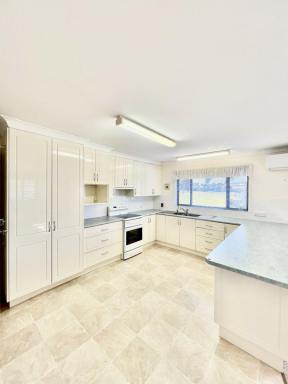 House For Lease - NSW - Taree - 2430 - Spacious Four bedroom Family Home in Taree West  (Image 2)