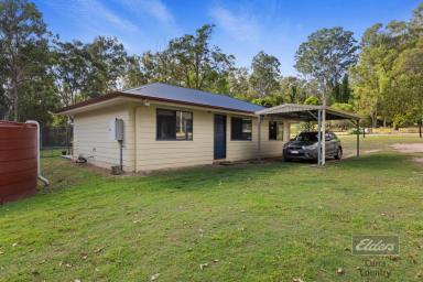 House For Sale - QLD - Glenwood - 4570 - ACREAGE CHARM MEETS EASY LIVING  (Image 2)